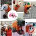 XIAOYU Puppy Dog Hoodie Cats Hoodies Pet Clothes Stylish Fruit Sweatershirt for Dog Cat Small Medium Pets Carrot XXL XX-Large Carrot - Buy Online on GoSupps.com