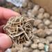 FACSER Natural Crystal Rough Natural Crystal Rough Natural Desert Rose Raw Crystal Stone Decor Home Decoration (Size : 60-80g) - Buy Online on GoSupps.com