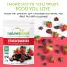 Natures Intent Dark Chocolate Covered Strawberry Dried Fruit 500g Bag - Kosher, Gluten Free, Non-GMO | Whole Food Snacks 17.6oz - Buy Online on GoSupps.com