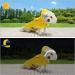 Dog Raincoats with Hood Waterproof Dog Rain Jacket Waterproof Hooded Dog Raincoats with Harness Hole Reflective Safety Dog Rain Coat Poncho Adjustable Dog Raincoats for Small Medium Large Dogs (XL) - Buy Online on GoSupps.com