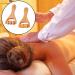 2-Piece Wooden Massage Roller Set | Trigger Point Roller for Body & Facial Massage | Anti-Cellulite Tool for Gua Sha & Scraping - Buy Online on GoSupps.com