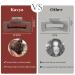 Shop Kavya Big Thick Hair Clips - Slide-Resistant 11 cm Rectangular Hair Clip Set for Women | Stylish Hair Jewelry - Buy Online on GoSupps.com
