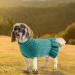 Warm Winter Pet Costume Sweater for Dogs & Cats - Stylish Jackets for Yorkshire Terriers Dachshunds French Bulldogs & More in Peacock Green - Buy Online on GoSupps.com