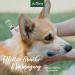 Aniforte Ectprotex Dog Margosa Extract Spot-On 50ml | Essential Oils Repellent for Dogs - Effective & Natural - Buy Online on GoSupps.com