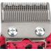 Transparent Mini Barber Hair Clipper Professional Electric Hair Clipper for Salon (Red) - Buy Online on GoSupps.com