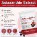 flasture Astaxanthin 12mg 120 Softgels 4 Month Supply Premium Astaxanthin Supplements from Natural Microalgae Powerful Antioxidant for Skin Eye & Joint Support | Non-GMO Easy to Swallow - Buy Online on GoSupps.com