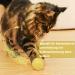Peticularz Interactive Cat Toy - Self-Employed Electric Powerball 2.0 with Wloom Intelligence - Magic Yellow Star Ball for Cats - Buy Online on GoSupps.com