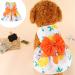 Dog Dress for Small Dogs Summer Dog Clothes for Small Dog Girls Puppy Dresses Pet Clothing (Medium, Orange) Medium Orange