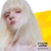 Bye Bye Yellow Shampoo - Sulfate Free Purple Shampoo for Blonde Silver & Highlighted Hair - 11.83 Fl Oz - Buy Online on GoSupps.com