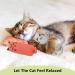 MOSNOW Cat Chase Toys 1 Pack 2 in 1 LED Pointer Cat Toys&1 Pack Cat Catnip Toys Funny Cat Toys Pet Interactive Toys for Pet Indoor Exercise Training Tool - Buy Online on GoSupps.com
