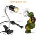 Adjustable Reptile Heat Lamp with Clamp | UVA/UVB Light Bulb Included | Dimmable Switch | 25W/50W | Ideal for Aquariums | 360 Rotatable Clip - Buy Online on GoSupps.com
