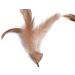 Petface Feather Tail Mice Cat Toy Pack of 2 2 Pack Mice - Buy Online on GoSupps.com