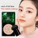 Lovelycat Concealer Lasting Nude Makeup Long lasting Liquid Foundation Beauty Moisturizing CC CreamOil Control (2PC) - Buy Online on GoSupps.com