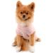 PAIDEFUL Striped Summer Dog T-Shirt Vest | Breathable Cotton Tee for Small Dogs | Pink | Size XXL - Buy Online on GoSupps.com