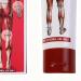 Ghjkldha Muscle Relieving Cream Joint Gel Lotion Compact Construction with 50g Size Handy Aid for Daily Routine Health Accessory Reliable Relief Lotion for Back Neck Shoulder Knee - Buy Online on GoSupps.com