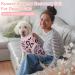 Kuoser Dog Body Suit for Post-Op Recovery | Breathable & Anti-Lick Solution for Male & Female Dogs | Dark Pink - Buy Online on GoSupps.com