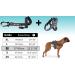 Bike & Dog: Patented Dog Leash & Harness Set for Biking - Includes 3-Ring Dishes & 2 Bicycle Bridles - Buy Online on GoSupps.com