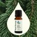 Plant Therapy Organic Black Spruce 10 mL (1/3 oz) Essential Oil 100% Pure Undiluted USDA Certified Organic Aromatherapy Fresh Scent Respiratory Support - Buy Online on GoSupps.com