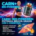  DIAMOND LIFE CARN+ BioPowered L-Carnitine POTENCIATED (1000mg) for Efficient Energy Metabolism & Natural Weight Control Aid - Non-GMO Glu - Buy Online on GoSupps.com