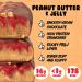 Yummo's Mmmm! Vegan Protein Bar (12x55g) - Peanut Butter & Jelly Flavor | Plant Based High Protein, Low Sugar, Gluten Free Snack (Pack of 12) - Buy Online on GoSupps.com