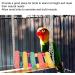 Ciciglow Colorful Bird Swing Toys - Parrot Swing with Stainless Steel Chain Ladder Bells & Balls - Ideal for Birds - Buy Online on GoSupps.com