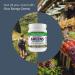 Paradise Herbs ORAC-Energy Greens 3.2 oz - Superfood Powder for Antioxidant Boost - Buy Online on GoSupps.com