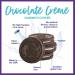 Goodie Girl Chocolate Creme Sandwich Cookies | Gluten Free, Peanut Free, Egg Free | 3-Pack (10.6oz Each) - Buy Online on GoSupps.com