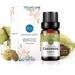 Buy 100% Pure Organic Cardamom Essential Oil - Natural Plant Oil for Diffuser Massage & Skin Care - 10ML - International Shipping Available - Buy Online on GoSupps.com