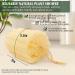 Natural Shower Loofah Sponge - Bath Exfoliating Body Scrubber - Soft & Easy Foaming Spa Lufa Sponges (2 Pack) - Buy Online on GoSupps.com