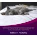 Buy Hyalogic HyaFlex for Cats - 1 oz Oral Hyaluronic Acid (HA) Supplement - Buy Online on GoSupps.com