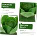 RORPOIR 4pcs Cabbage Model Garden Decor Simulated Models Puzzle Toys Accessory Educational Playthings Home Decor Tiny Foods Miniature Model Toys Plastic Fake Vegetables Apple Tree Child - Buy Online on GoSupps.com