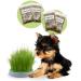 R&R SHOP - Double Seeds Dog Grass Kit - Germination Pot, 2 Types of Grass for Dogs, Stimulant and Digestive, 4 Bags of Seeds and Substrate, Suitable for All Dogs