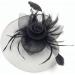 Jzk Vintage Flower Fascinator Headband & Clip - Elegant Spring Hair Accessories for Weddings & Cocktail Parties (Black Veil) - Buy Online on GoSupps.com