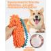 Schitec Dog Toys - 2 Pack Interactive Training Rope & Squeaky Dashy Toys for Puppies & Dogs | Chenille Handles for All Sizes - Buy Online on GoSupps.com