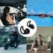 Noise Reduction Ear Plugs - NRR 40dB Silicone Reusable & Comfortable for Sleep Snoring Swimming Studying Concerts | Noise Cancelling & Hearing Protection - Black - Buy Online on GoSupps.com