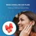 10 Pairs Silicone Reusable Ear Plugs | 30dB Noise Cancelling | Soft & Washable | with Cases, Strings | for Adults, Kids | Sleeping, Swimming, Shooting | High-Quality Sound Blocking - Buy Online on GoSupps.com