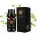 Aromatherapy Melissa Essential Oil for Diffuser 100% Pure Melissa Essential Oil for Massage Therapeutic Grade Melissa Essential Oil for Humidifier - Buy Online on GoSupps.com