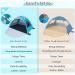 Night Cat Beach Tent - Portable Sun Shade Shelter for 2-4 Persons with UV Protection | Easy Setup & Breathable Mesh Windows | Outdoor Blue Single Layer Tent - Buy Online on GoSupps.com