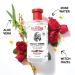 Thayers Witch Hazel Aloe Vera Formula Clear 12 Fl Oz (646562) - Buy Online on GoSupps.com