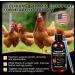 E+S Poultry Vitality Formula | Selenium for Chickens and All Poultry | Nutrient Support Liquid for Energy Balance and Mobility | Feed Mix Additive for Healthy Growth - Buy Online on GoSupps.com