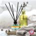 Arm & Hammer Pet Odor Eliminator Room Spray | 10 oz Eucalyptus Mint Fragrance | Baking Soda Pet Deodorizer | Eucalyptus Mint Reed Diffuser - Buy Online on GoSupps.com