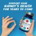 RaDoTech RenActive Kidney Detox Cleanse - 60 Veg Capsules for Natural Kidney Cleanse and Gut Health - Buy Online on GoSupps.com