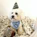 Dog Birthday Bandana - Blue Birthday Boy Puppy Bandana for Small, Medium, Large Dogs - Buy Online on GoSupps.com