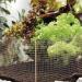 Copper Mesh 127mm*9m Copper Mesh for Slugs Rustproof Copper Wire for Slugs Wire Mesh Slug Repellent Roll Pet Friendly Plant Protector for Rodent Bat & Snail - Buy Online on GoSupps.com