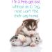 Personalized Sally Nightmare Before Christmas Pet ID Tag for Dogs & Cats - uDesignUSA - Buy Online on GoSupps.com