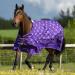 Gallop Equestrian Gallop Trojan Monarch 100g Lightweight Outdoor Horse Turnout Rug Standard Neck (6'6'' Purple) 6'6" Purple - Buy Online on GoSupps.com
