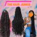 Extra Long Nu Locs - The Hair Junkie by CiCi - Crochet Faux Locs - DIY Hair Kit