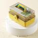 Large Capacity Shockproof Medicine Storage Box - 3 Layers Portable & Waterproof for Home & Outdoor Use | Lemon Yellow - Buy Online on GoSupps.com
