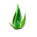 SofttoPlus Softto+Plus soothing and moisturizing gel for aloe vera