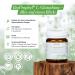 Buy BioProphyl L-Glutathione G-SH 250mg - Pure Reduced L-Glutathione with Manganese - 60 Vegetarian Capsules - International Shipping Available - Buy Online on GoSupps.com